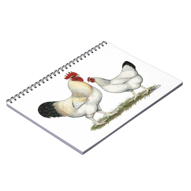 Indian River Chickens Notebook (Left Side)