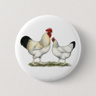 Indian River Chickens Pinback Button