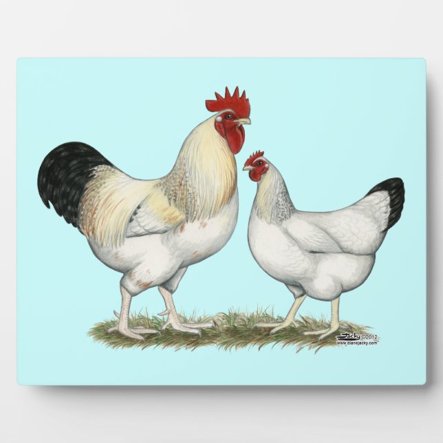 Indian River Chickens Plaque (Front)