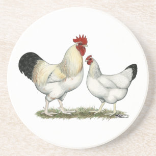 Indian River Chickens Sandstone Coaster
