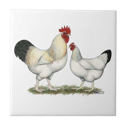 Indian River Chickens Tile