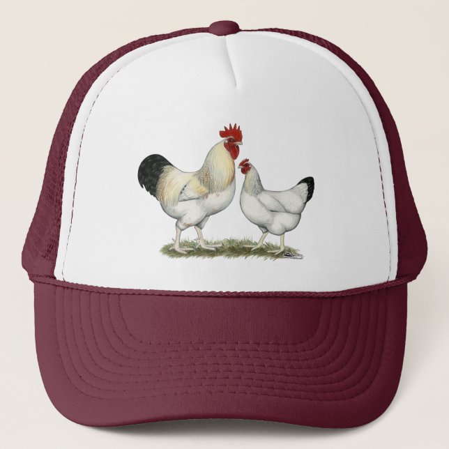 Indian River Chickens Trucker Hat (Front)