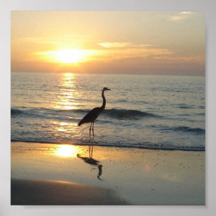 Indian Rocks Beach Florida Sunset Crane Poster