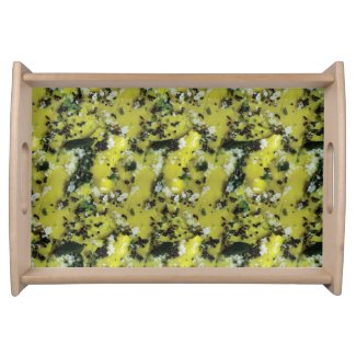 Indian Snacks Dhokla Breakfast Food 