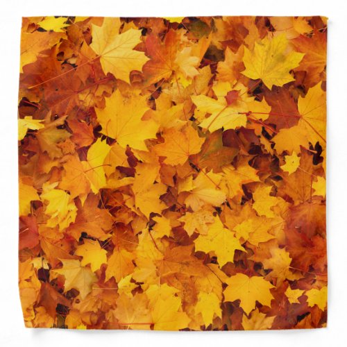 Indian Summer Golden Leaves Bandana