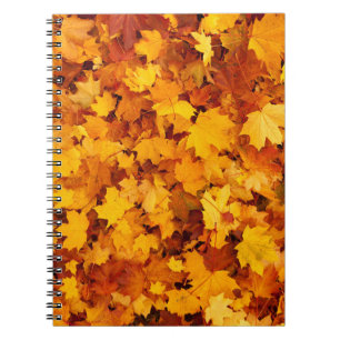 Indian Summer Golden Leaves Notebook