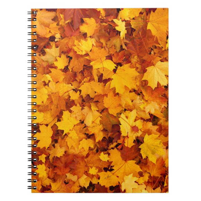 Indian Summer Golden Leaves Notebook (Front)