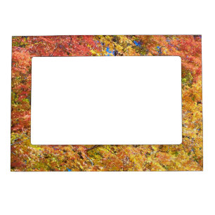 Indian Summer Magnetic Picture Frame