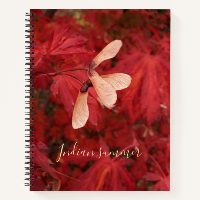 Indian summer - notebook (Front)