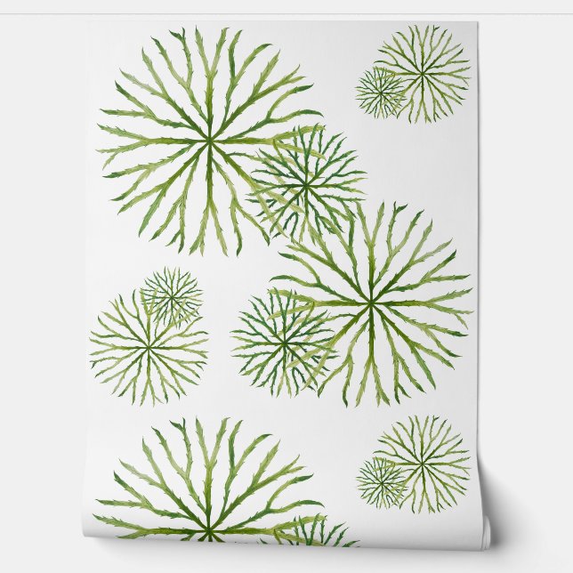 Indian Summer on a  Wallpaper (Unrolling)