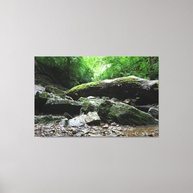 Indian Village Canyon, Columbus, Ohio Canvas Print (Front)