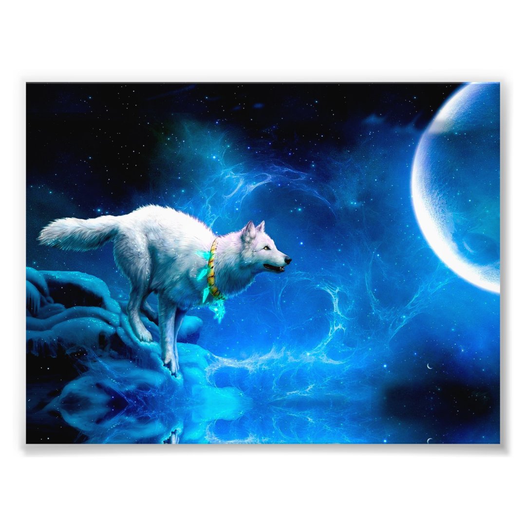 Indian wolf and the full moon photo print | Zazzle