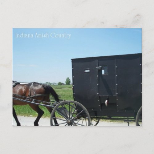 Indiana Amish Country Postcard