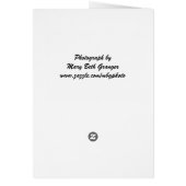 Indiana Covered Bridge (Back)