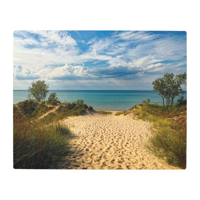 Indiana Dunes, Lake Michigan Metal Print (Front)
