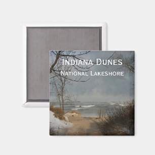 Indiana Dunes, Lake Shore, Cloudy, Winter Magnet