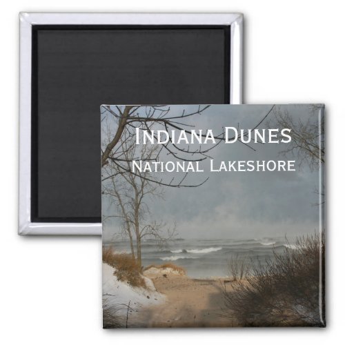 Indiana Dunes Lake Shore Cloudy Winter Magnet
