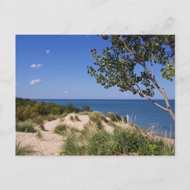 Indiana Dunes National Lakeshore Postcard (Front)