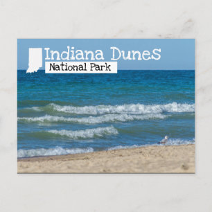 Indiana Dunes National Park Beach Postcard