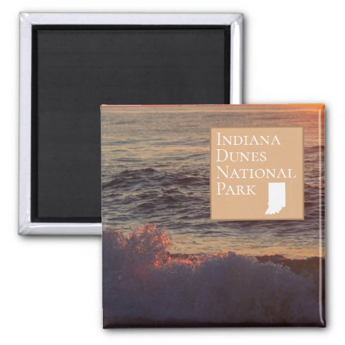 Indiana Dunes National Park _ Beach Waves Magnet