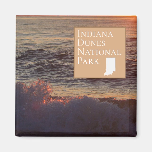 Indiana Dunes National Park - Beach Waves Magnet (Front)