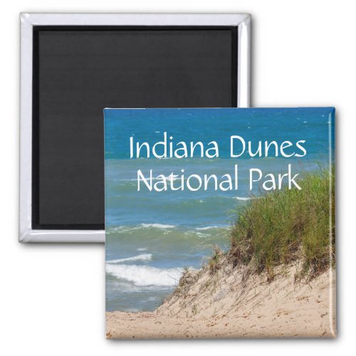 Indiana Dunes National Park Souvenir Magnet