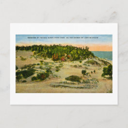 Indiana Dunes State Park Lake Michigan, Indiana Postcard