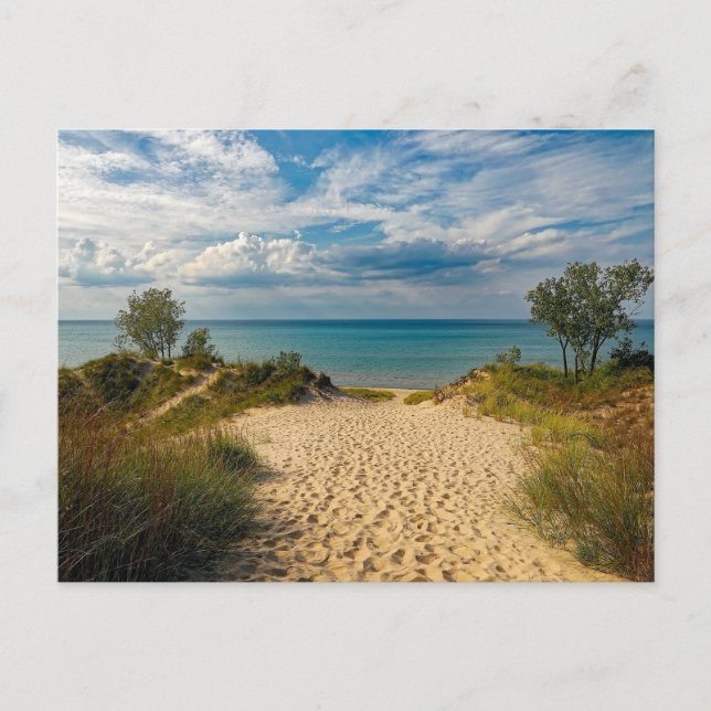 Indiana Dunes State Park Postcard (Front)
