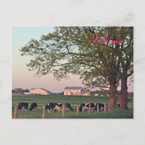 Indiana Farm Postcard