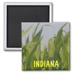 Indiana Magnet at Zazzle