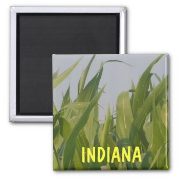 Indiana Magnet by sharpcreations at Zazzle