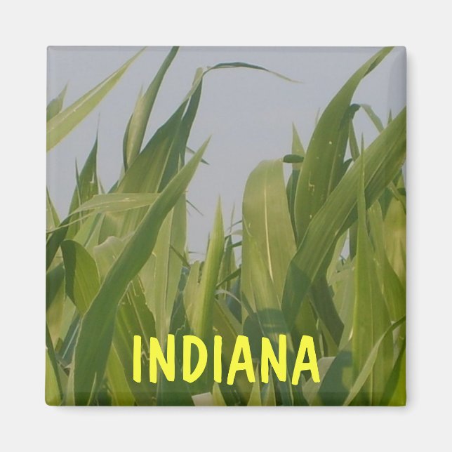 Indiana Magnet (Front)
