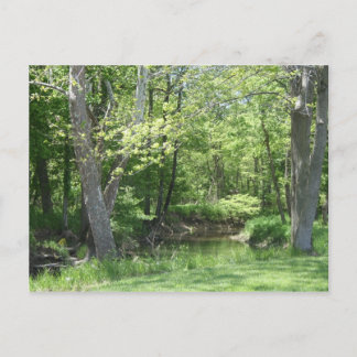 Indiana Outdoors Postcard