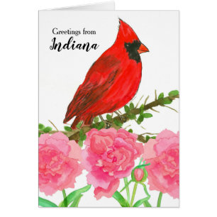 Indiana Red Cardinal Watercolor Bird Pen Pal Cards