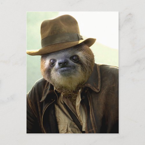 Indiana Sloth Postcard