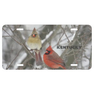 Indiana State Bird Cardinal License Plate
