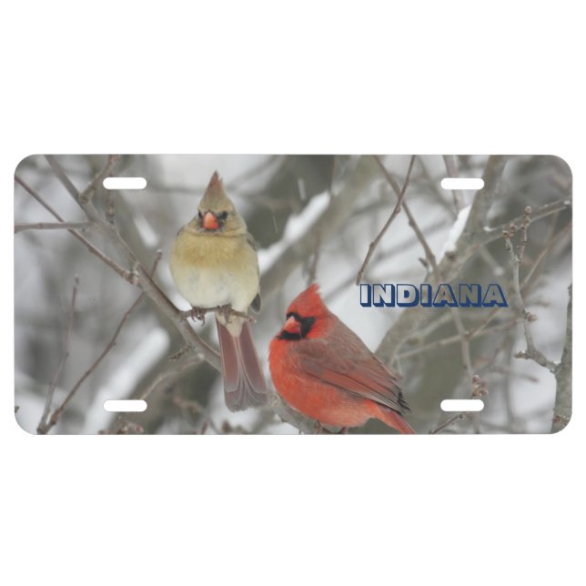 Indiana State Bird Cardinal License Plate (Front)