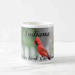 Indiana state bird photo mug