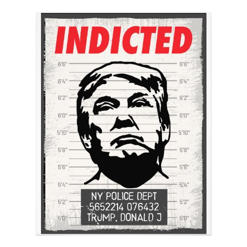 Indicted Donald Trump Photo Print