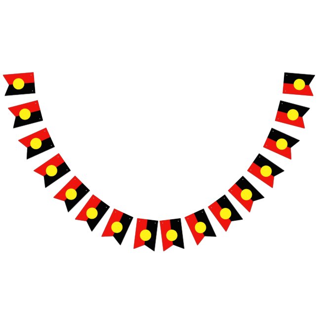 Indigenous Flag (All)