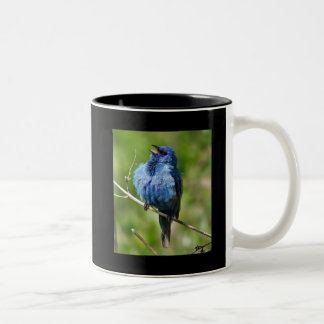 Indigo Bunting 1, Hot All Bird Actionwww.Birdch... Two-Tone Coffee Mug