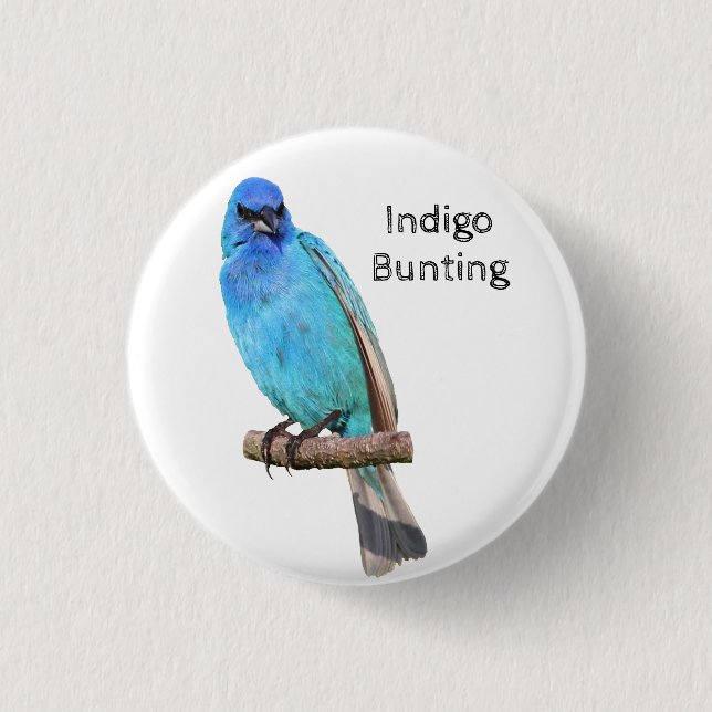 Indigo Bunting Button (Front)