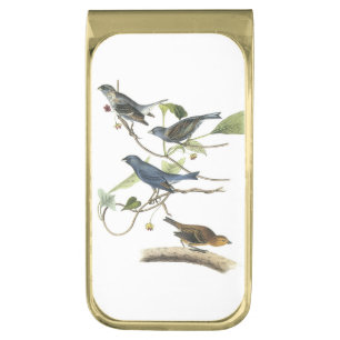 Indigo Bunting by Audubon Gold Finish Money Clip