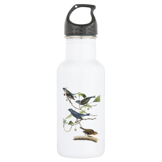 Indigo Bunting by Audubon Water Bottle (Front)