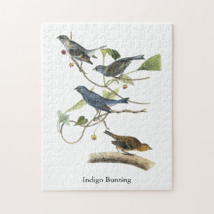Indigo Bunting, John James Audubon Jigsaw Puzzle