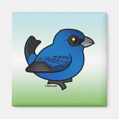 Indigo Bunting Magnet