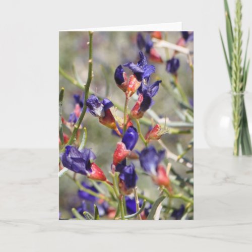 Indigo Desert Bush _ Frameable Art Card