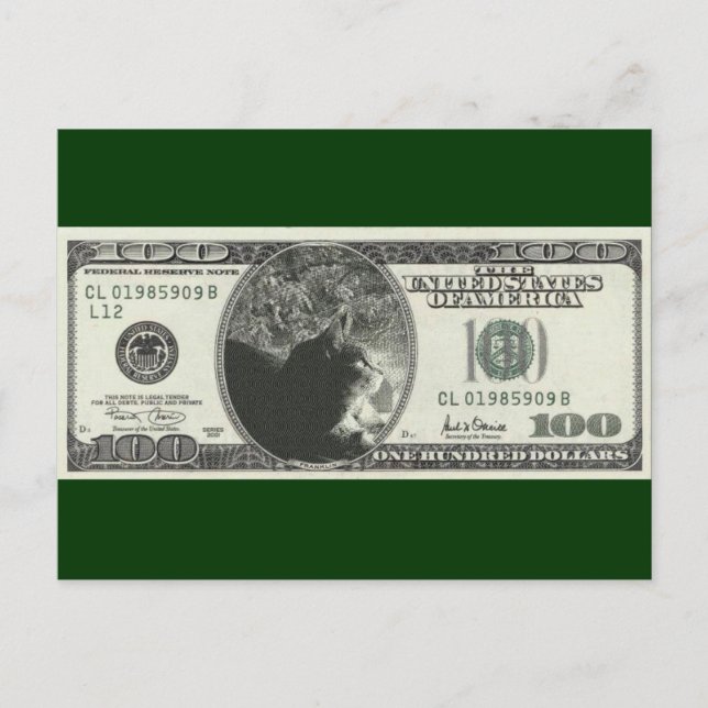 Indigo Dollars Postcard (Front)