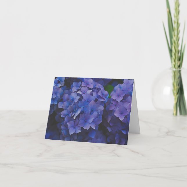 Indigo Hydrangea Dusk Note Card (Front)