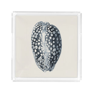 Indigo Seashell Acrylic Tray